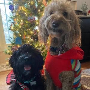 Meet your Posher, Leane